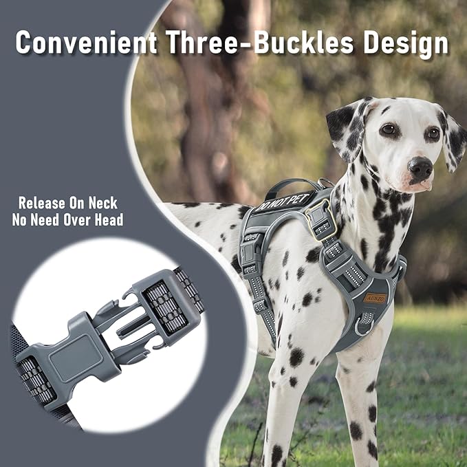 No-Pull Dog Harness for Small Dog Breeds, Anti-Escape Easy Walking Reflective Adjustable Lightweight Dog Vest with Breathable Oxford Material, Easy on Easy Off with Neck Buckle, Gray XS
