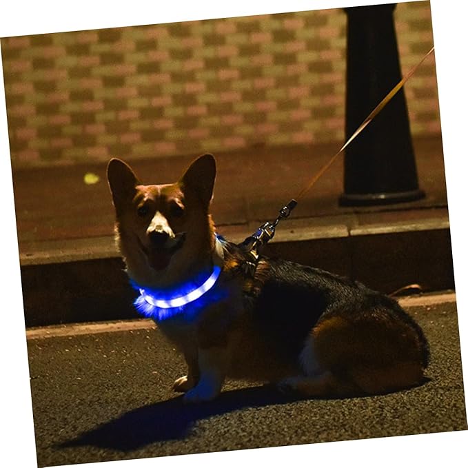 Toyvian USB Rechargeable Luminous Pet Collar with LED Light Modes and Comfortable Soft Material Cut to Fit Night Safety Collar for Dogs