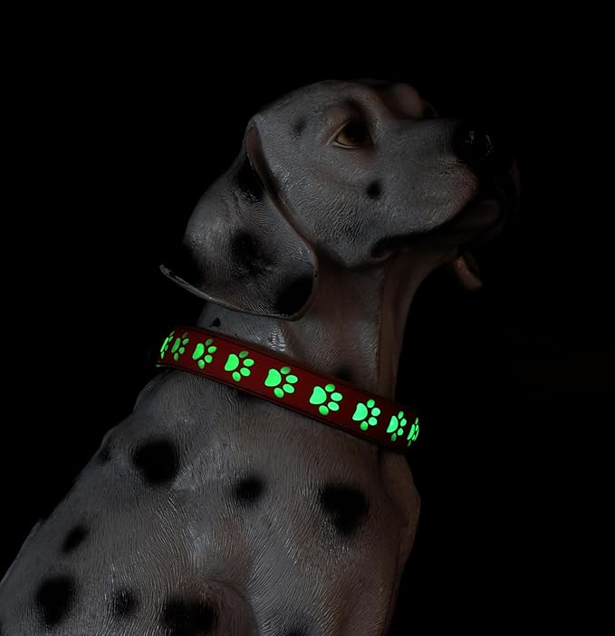 Subversive USB-C led Light up Dog Collar, Subversive 3D Cross Design Comfortable and Soft Material,Multicolored Lighting (PAW-RED, L(19.7-23.6"))