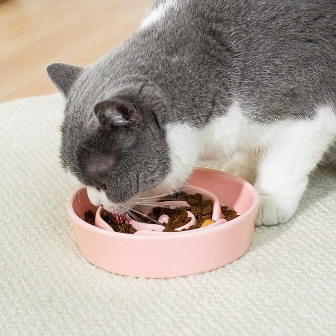 TRUVIC Ceramic Slow Feeder Dog Bowls Small Breed, 0.6 Cup Slow Feeder Cat Bowls for Fast Eaters, Ceramic Dog Food Dish no Black Chin, Puzzle Bowl for Small Dogs and Cats, Pink