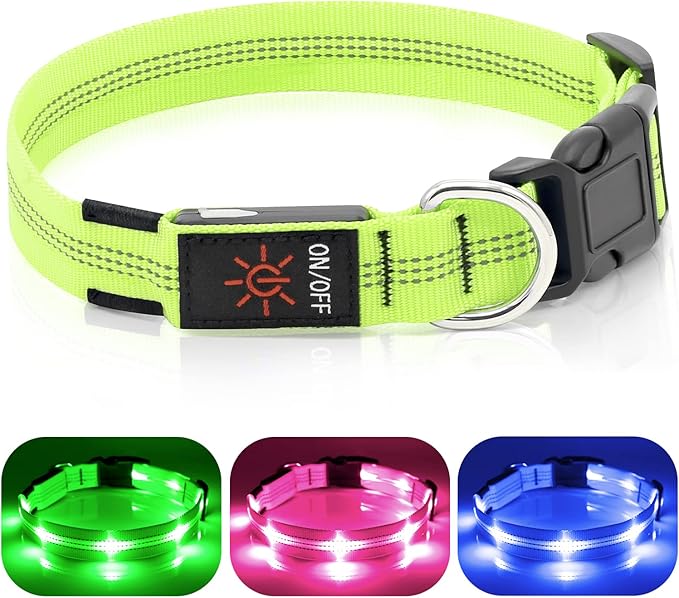 Weesiber Light Up Dog Collars - Rechargeable LED Collar - Reflective Adjustable Dog Lights for Night Walking (Green, Small)