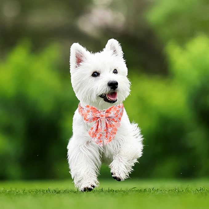 Dog Collar with Bow Tie,UP URARA PUP Orange Flower Bowtie Dog Collar, Summer Bowtie Collar for Puppy Boy Girl Dog, Comfortable Cotton Dog Collar with Metal Buckle,S,Neck 10-16in, OrangeFlower CS