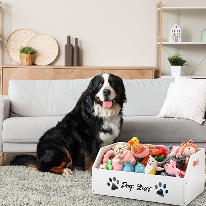 Leinuosen Large Dog Toy Bin Basket, 20 Inch Large Stuff Toy Storage Basket Bin with Bone Handle Cutout Pattern Pine Container for Organizing and Storage Dog Leash Chew Toys(White, Undivided)