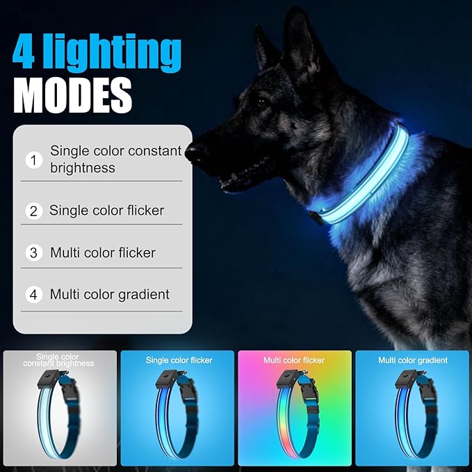LED Dog Collar Rechargeable- Brightest Light Up Dog Collars - 1,600 Feet of High Visibility - Magnetic Charging - Glow in Dark Dog Lights for Night Walking, Blue M