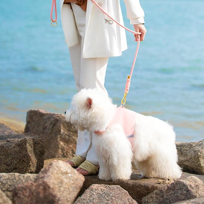 Durable Handwoven Dog Leash for Small & Medium Dogs, 5/16 inch Rope Lead with Anti-Tangle Swivel Clip, Soft & Lightweight, 5FT Long – Ideal for Daily Walking & Training (Light Pink)