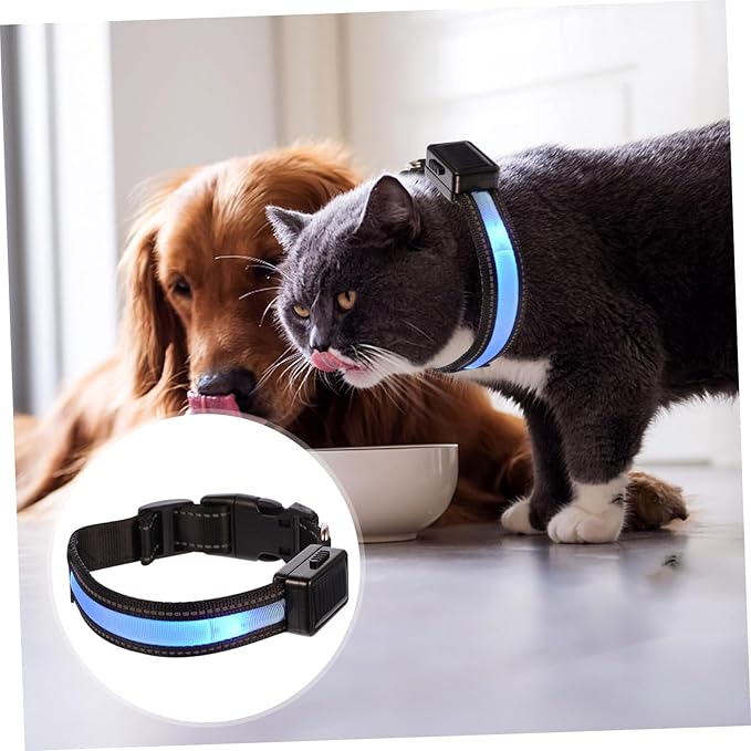 USB Charging Pet Collar Led Flashing Collar for Dogs Night Safety Accessory Fashionable Puppy