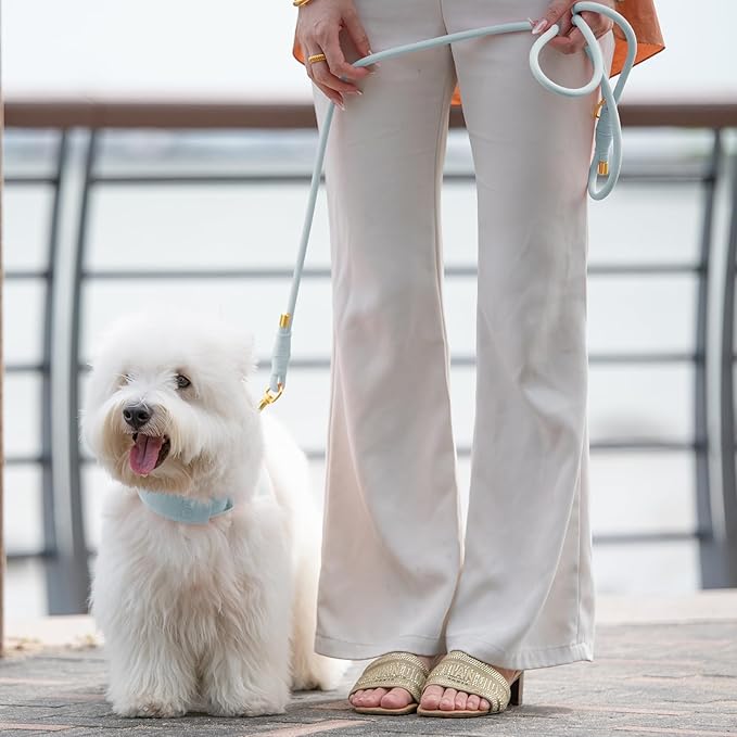 Durable Handwoven Dog Leash for Small & Medium Dogs, 5/16 inch Rope Lead with Anti-Tangle Swivel Clip, Soft & Lightweight, 5FT Long – Ideal for Daily Walking & Training (Light Blue)