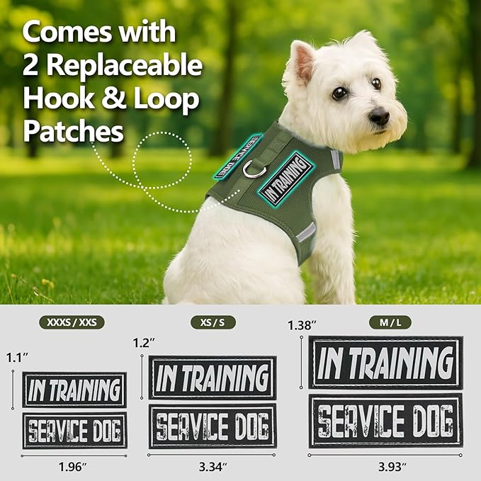 Dog Harness for Puppy – Adjustable Reflective Easy Put On Soft Mesh Vest for Small Dogs with 2 Patches (Misty Green,M)