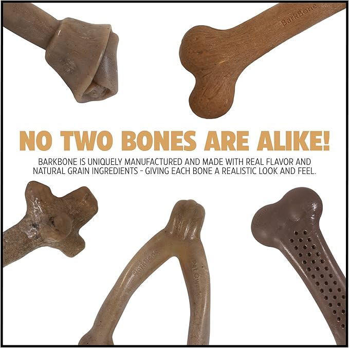 Pet Qwerks Zombie BarkBone - Nylon Dog Bone for Moderate Chewers - Cheddar Cheese Flavor - 9.5"