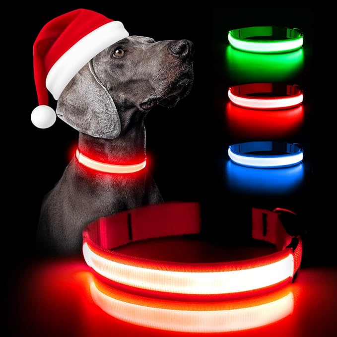Weesiber USB Rechargeable LED Dog Collar - Waterproof, Adjustable Size with Multiple Flash Modes - Small, Red