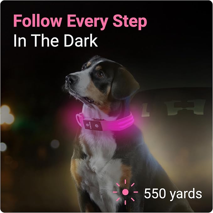 Tractive LED Light Up Dog Collar USB Rechargeable Waterproof (Pink)