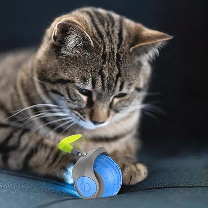 ZAHABI Speedy Tail 3.0 Automatic Dog & Cat Toy (2 Pack) – USB Rechargeable Rolling Ball with Soft Tail, Interactive Pet Toy for Puppies, Kittens & Active Pets (Blue & Orange)