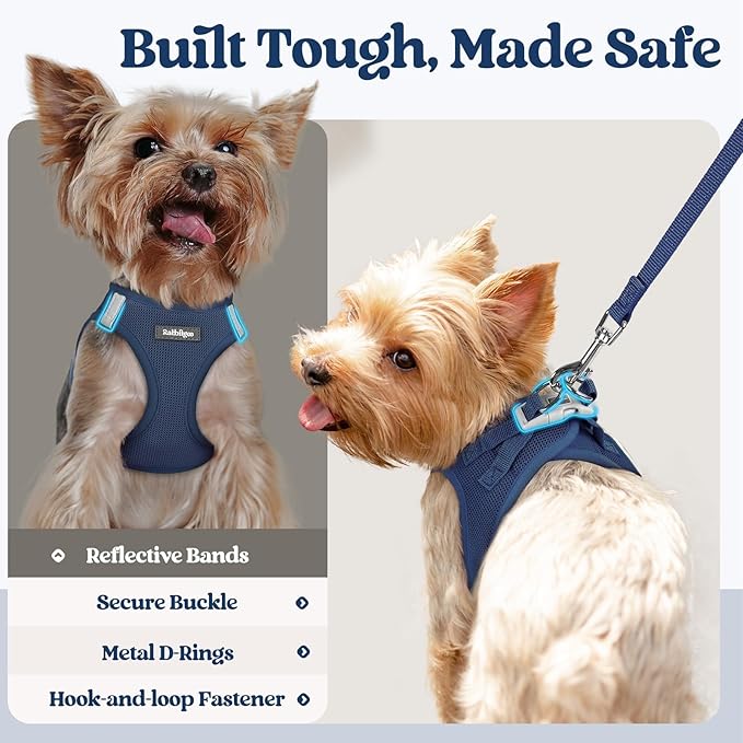rabbitgoo Dog Harness Small Sized and Leash Set, Step in Soft Light Puppy Vest, Breathable Mesh Pet Harness, Reflective for Safe Outdoor Walking, Navy Blue S