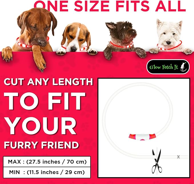 LED Dog Collar, Waterproof Light Up Dog Collar Rechargeable, Dog Safety Necklace for Night Walking, Adjustable Cut-to-Fit Silicone Collar Small Medium Large Dog 27.5” Cuttable (Red)