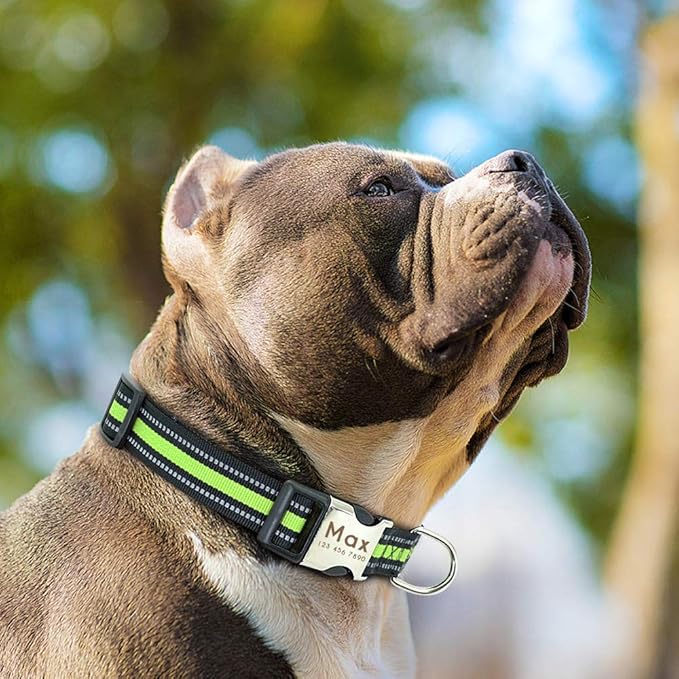 Custom Pet Dog Collar Leash Reflective Nylon Small Dog Puppy Collars Personalized Pitbull Medium Large Dog Collar Engrave Name Green M