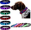 LED Dog Collar, 15 Light Modes, USB-C Rechargeable, Silicone Material, Adjustable Size, (Blue, L(15.7-19.7"))