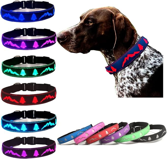 LED Dog Collar, 15 Light Modes, USB-C Rechargeable, Silicone Material, Adjustable Size, (Blue, M(11.8-15.7"))