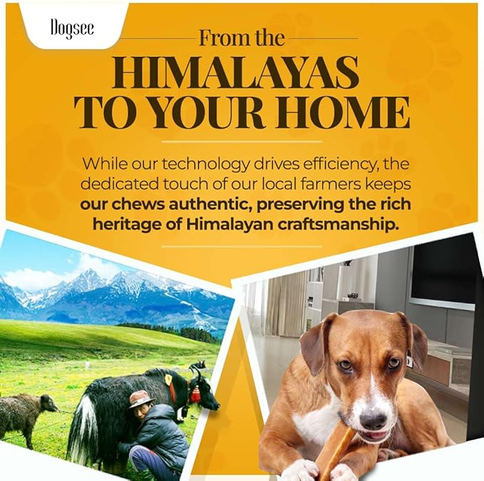 Dogsee Himalayan Yak Chews with Turmeric/Curcumin (Medium - 4 Chews) | Yak Chews for Large Dogs | Dog Treats | Helps Joint Pain | Rawhide-Free