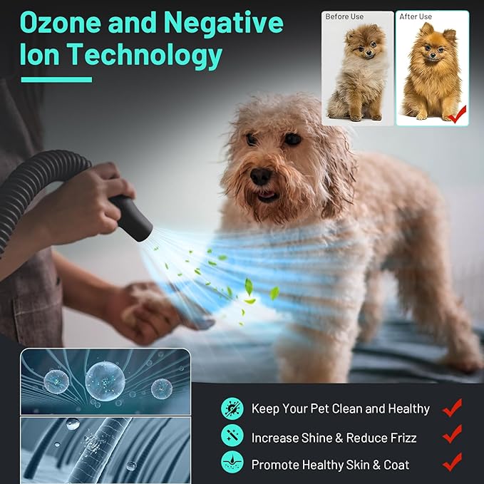 Dog Dryer High Velocity Dog Hair Dryer 5.2HP/3800W, Stepless Adjustable Speed Temperature Dogs Grooming Blow Dryer, Pet Dryer with 4 Nozzles,Blow Dryer for dogs, White