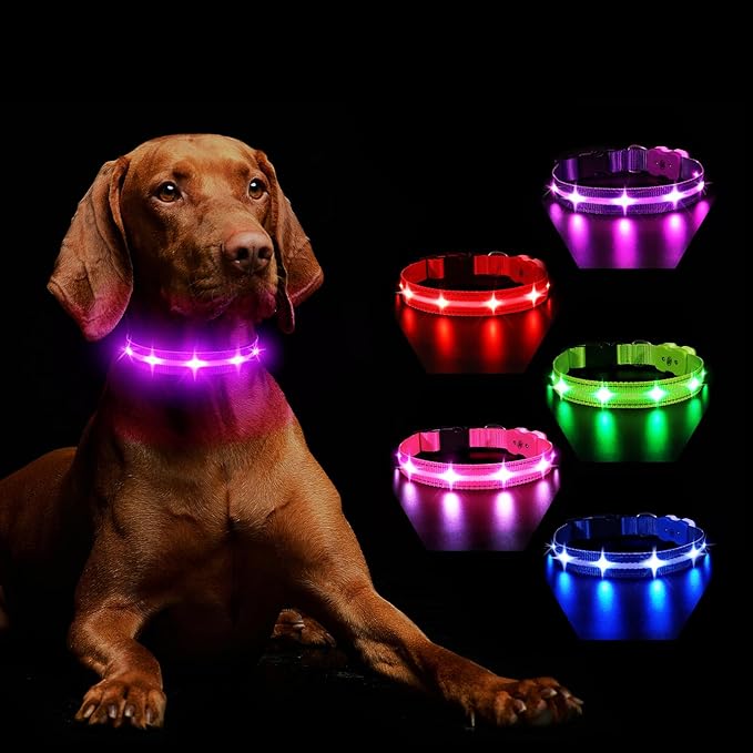 MASBRILL Light Up Dog Collars-RGB Led Collar for Dogs Rechargeable Lighted Dog Collar Water-Resistant Colorful Glow in The Dark Dog Collars for Night Walking