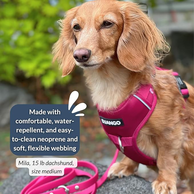 DJANGO Tahoe No Pull Dog Harness – Escape-Proof Dog Harness for Small Dogs with Front & Back Clips for Everyday Use – Adjustable, Padded, Reflective, Secure Fit, Easy On/Off – Hibiscus Pink, Small
