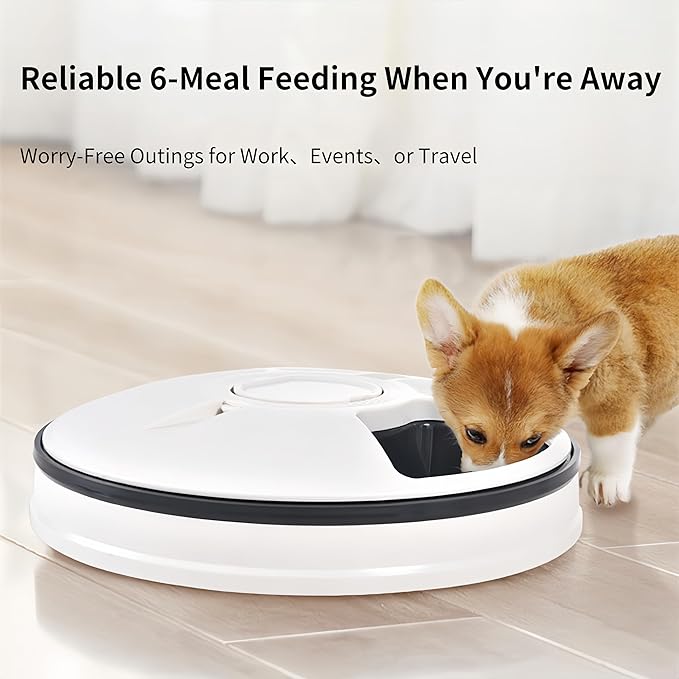 Automatic Pet Feeder with Timer, 6-Meal Programmable Cat & Dog Feeder, 3.17oz per Meal, Voice Alert, PP+ABS (Gray/Light Green) (Light Green)