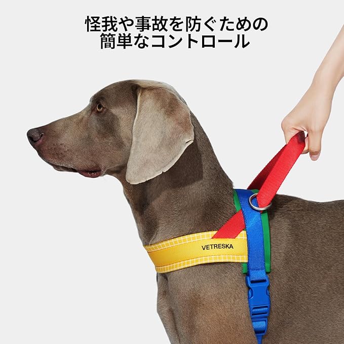 VETRESKA MoMA Dog Harness and Leash Set, Easy Walk Dog Harness for Small Medium Dogs, No Pull Puppy Harness for Walking and Training, Adjustable, Take Control & Anti-Twist Pet Lead Combo(Yellow, XS)