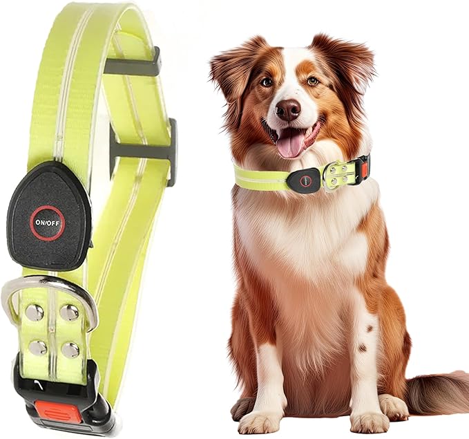 Safety Led Dog Leash for Night Walking - Glow in The Dark - Water Resistant Nylon Webbing - Lightweight and Heavy Duty - USB Rechargeable - RGB Color Changing - Suitable for All Dogs (Yellow)