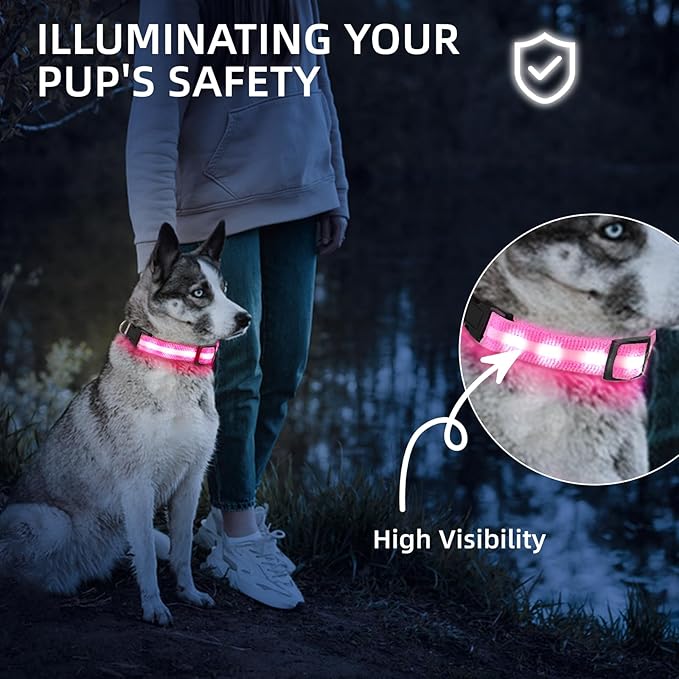 LED Dog Collar for Small Dogs Cats - Fully Waterproof & Adjustable Glow Collar - USB-C Rechargeable for Night Walking, Safety - Flashing Lighted Collar for Dogs(Pink,S)