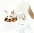 Cat Dog Feeder Bowl with Automatic Drinking Bottle.2-in-1 Stainless Steel Pet Bowl.No-Spill Double Dog Cat Bowls (White)