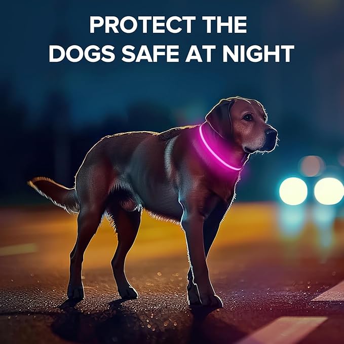 Cherry Red Small LED Dog Collar | Night Walks just got Safer | Ultra-Bright LED Collar | USB Rechargeable | Waterproof | Adjustable & Durable | 4 Light Modes | Keep Your Pup & Yourself Safe!