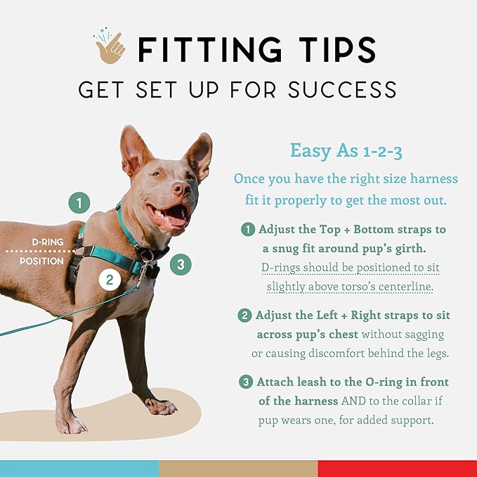 Wildebeest No Pull Dog Harness | Comfortable Training Harnesses | Effective No Pull Harness Design | Ideal for Large Sized Dog | 4-Point Adjustable(L - 26~32 inch Girth, Turquoise)