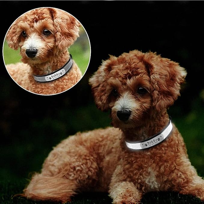 Reflective Dog Collar Personalized Pet Dog Collars Leather Padded Dogs Collar for Small Medium Dogs Chihuahua Yorkie Black S