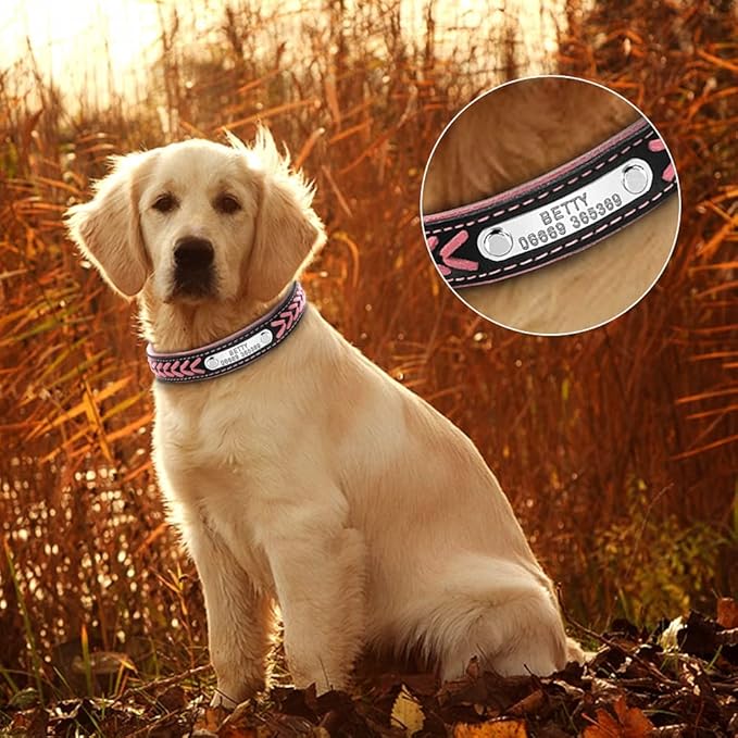 Customized Dog Collars Adjustable Padded Leather Personalized Pet Name ID Collar Free Engraving for Small Medium Large Dogs Cats Pink M