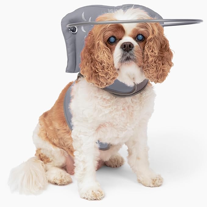 Muffin’s Halo® – The Original Blind Dog Halo | Harness & Bumper Collar Accessory for Safe Navigation & Confidence – Gray, Size 3