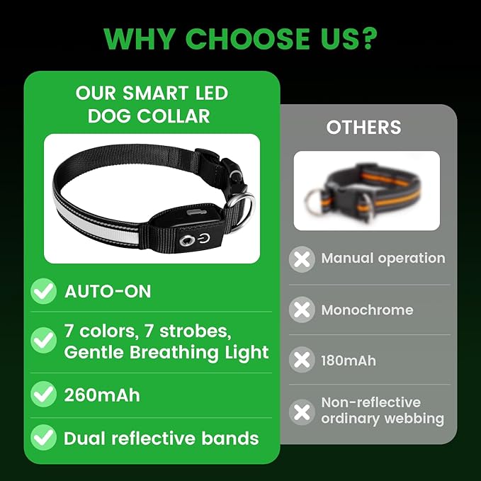 Auto Light Up Dog Collar - Smart Safety Night Collar with Motion Sensor - Auto-On in Dark - USB-C Rechargeable - 3 Day Runtime- IP65 Waterproof - M