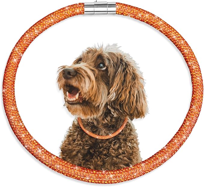 Stylish and Luxurious Diamond Dog Collar,Magnetically Absorbent Clasp,Full Diamond Design,Perfect for Wedding and Everyday Walking - Rose Red Diamons Necklace Collar for Medium Dogs,16''
