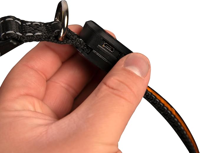 Sherry Kline LED Light-Up Pet Collar - USB Rechargeable - Flashing Glow in The Dark Size Small, Color: Orange