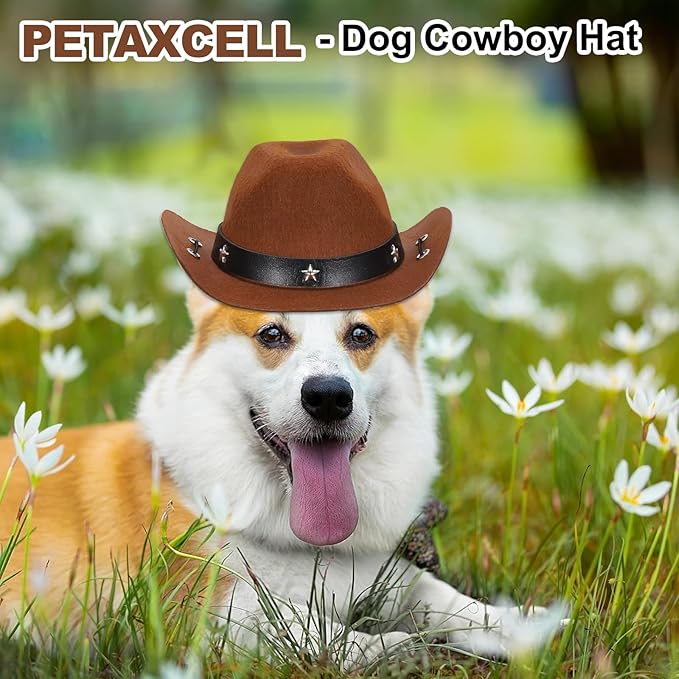 Dog Cowboy Hat, Mini Cowboy Hat for Pet with Chin Strap Adjustable Cosplay Cap Star Decor, (Pink, S), Intended for Dogs and Cats/Halloween Costume/Party Decoration
