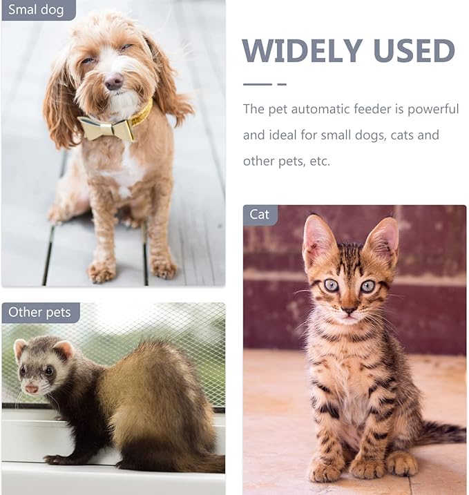 Mipcase Automatic Pet Feeding Tool Large Capacity Feeder 3.8l Dispenser Clear Bowl for Pet Food Storage