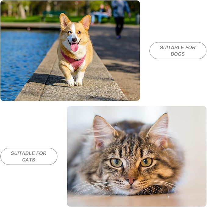 Automatic Dog Food Dispenser and Water Feeder Gray Plastic Pet Feeder Bowl for Indoor Household Use Suitable for Puppies and Dogs