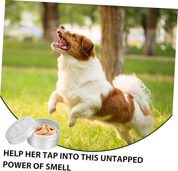 BESPORTBLE 10pcs Dog Scent Training Cases Scent Detection Tools for Dog Nose Work and Search Training for Reducing Stress and Enhancing Smell Skills