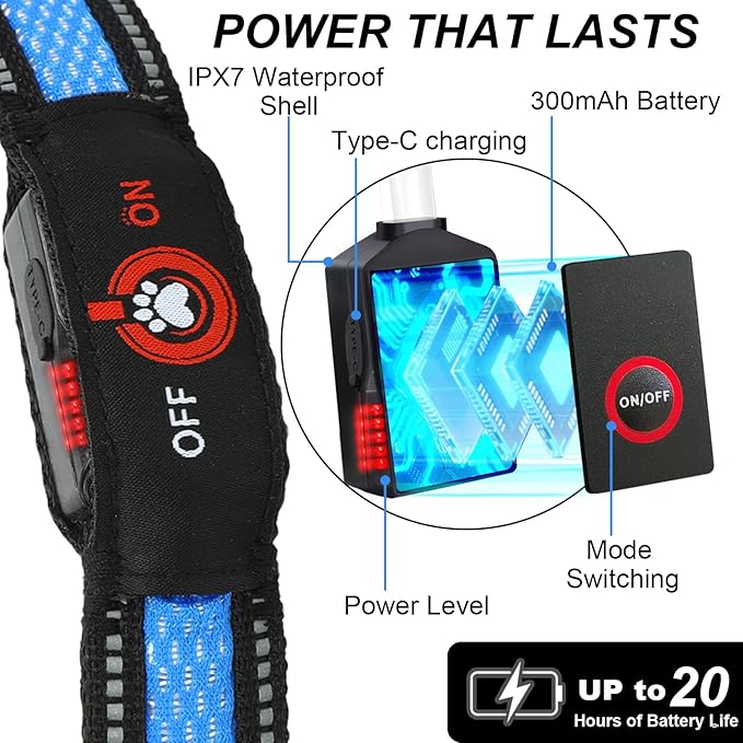 Light Up Dog Collar-Rechargeable & Long-Lasting Power LED Dog Collar Lights for Night Walking, Waterproof & Safety Glowing Collars for Medium Dogs [Blue-M]