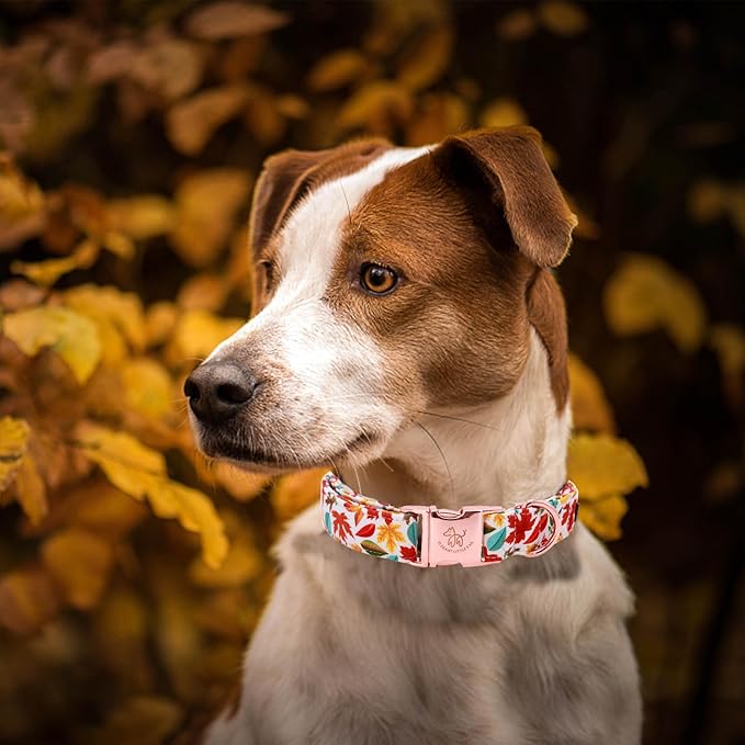 Elegant little tail Fall Dog Collar, Autumn Leaves Pet Collar Durable Dog Collars Male or Female Holiday Pet Gift Adjustable Dog Collar for X-Large Dogs