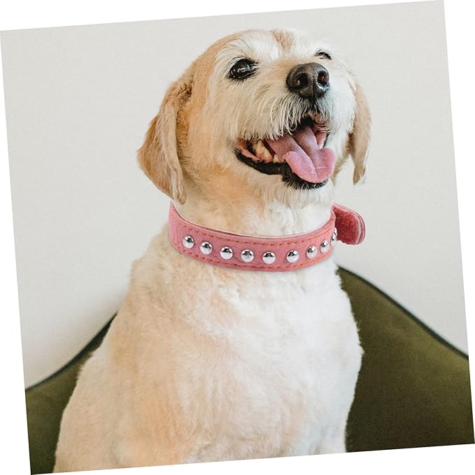 Stylish Vintage Dog Collar for Dogs Comfortable Soft Pet Neck Decor Retro Design for Daily Wear and Photo Shoots for Festivals and Events Wide Neck Ornament