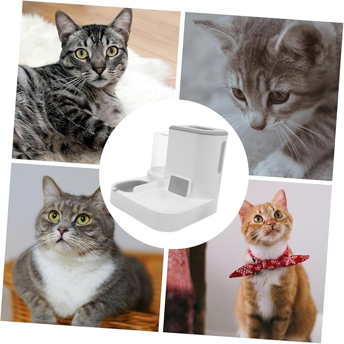 Garneck Pet Feeder Automatic Dog Water Dispenser Dry Wet Separation Bowl Easy to Use for Cats and Dogs