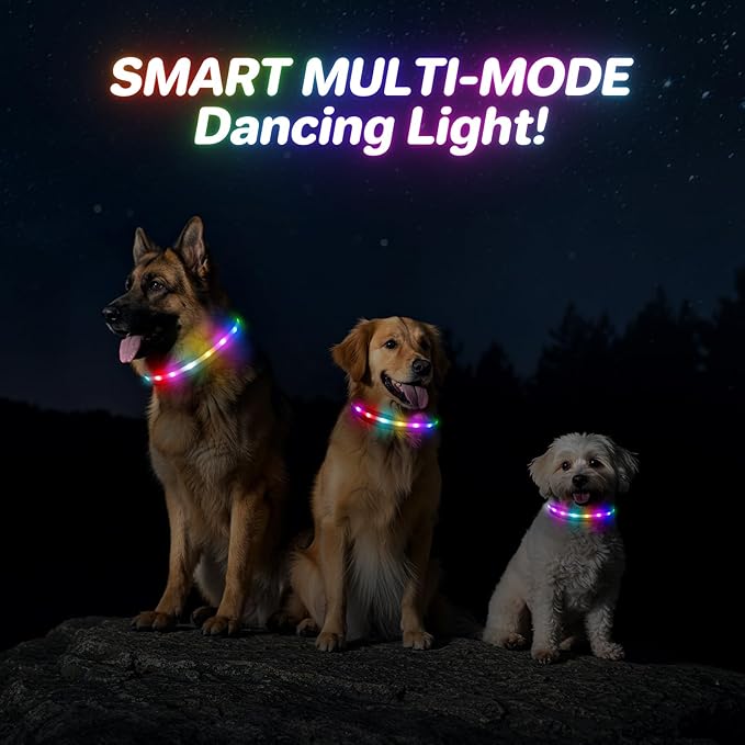 RUXAN Light Up Dog Collar,Dog Lights for Night Walking,LED Collars Waterproof,Glow Dog Collars Rechargeable,Dog Collars Light for Small,Medium,Large Dogs (Large,Purple)