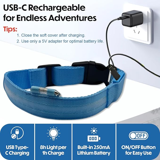 Light Up Dog Collar – Reflective, Adjustable & Rechargeable Electronic Glow Pet Collars – Bright, Comfortable, High Visibility LED Dog Collar for Night Safety, Outdoor Walk, Flashing Fun, Blue, Medium