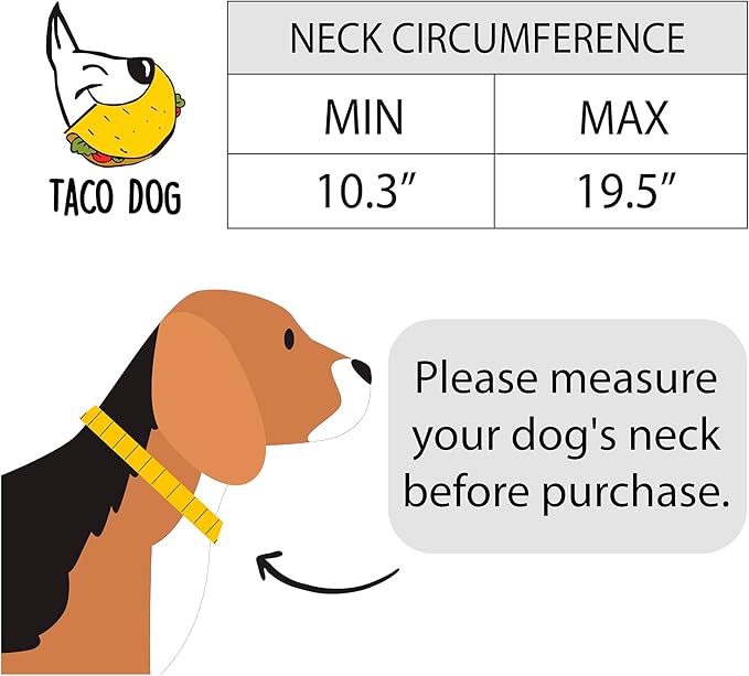 Taco Dog, Thick Leather Dog Collar Handmade from Full Grain Leather - Comfy Pet Collar for Medium Size Dog (12 to 21 Inches) Dog Lover Gift (Charcoal Black)