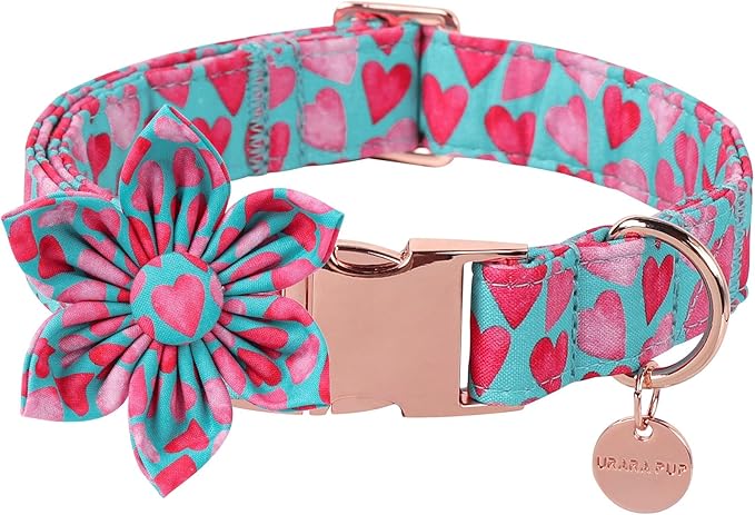 Valentine Dog Collar with Flower, Heart Flower Collar for Puppy Girl Boy Dog or Cat, Comfortable Dog Collar Flower with Durable Metal Buckle, Cute Pet Collar, XS, Neck 8-12in